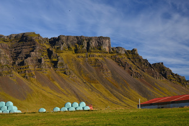 Det var svært langt mellom gårdene her. Men hver bonde har store områder til sauehold, kuer og islandshester. Det er enorme beitemarker og fantastiske rideforhold.