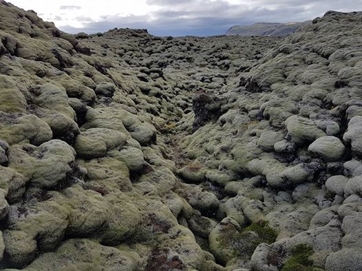 Lavasteiner på Island 