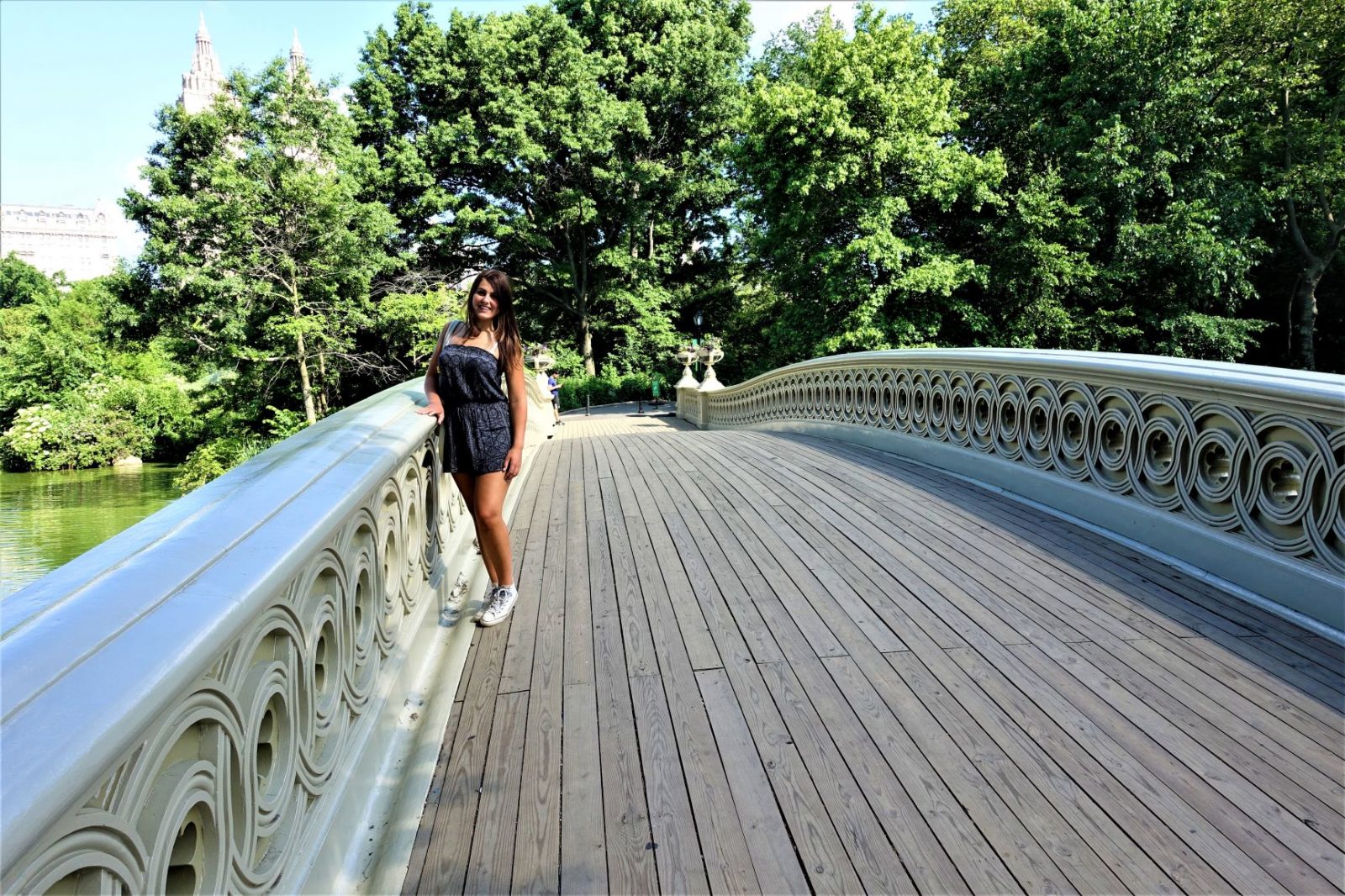 bru i Central Park New York