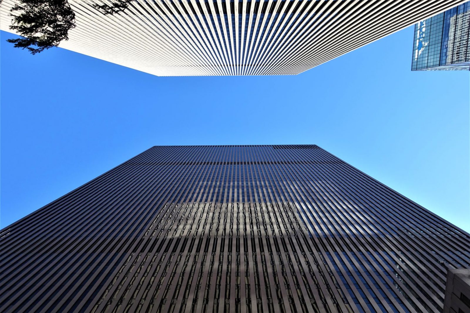 store skyskrapere i the big apple