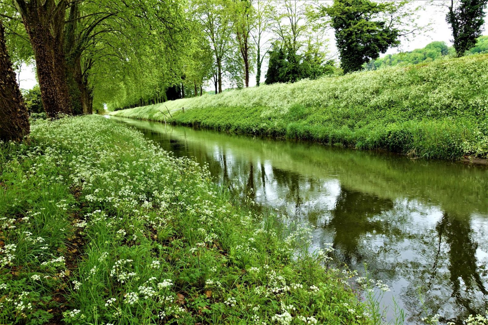 denne kanalen fulgte vi gjennom hele frankrike