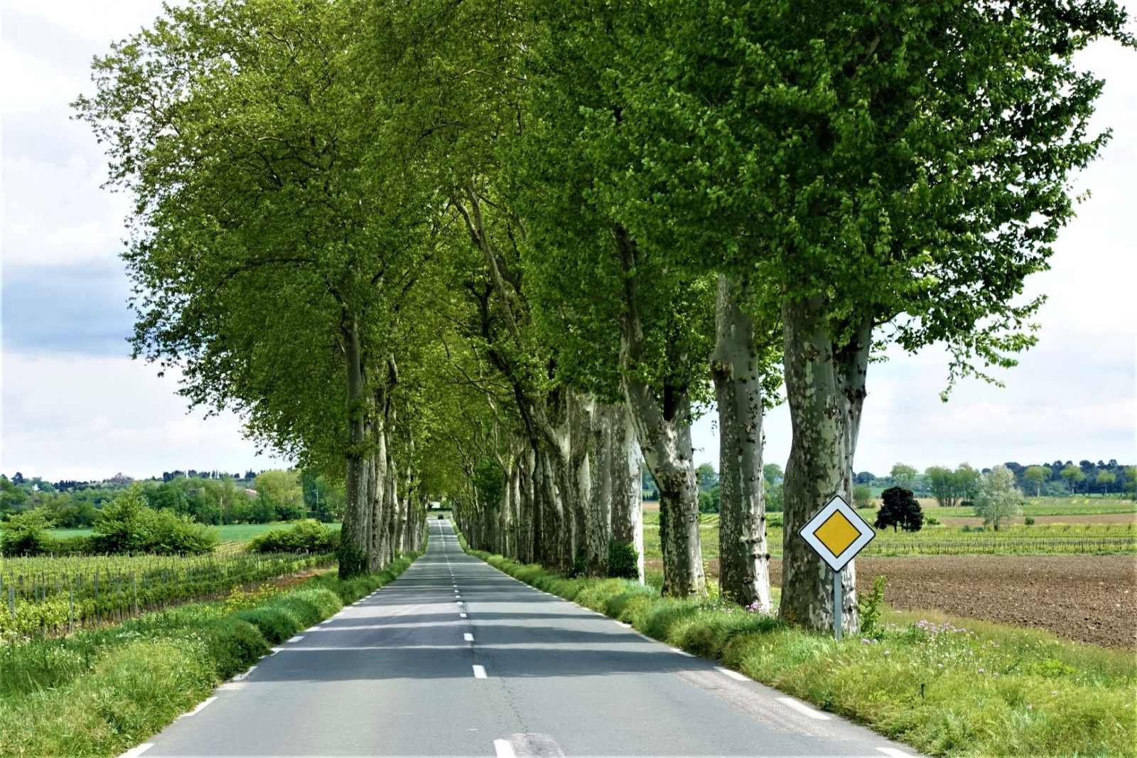 En flott alle i frankrike