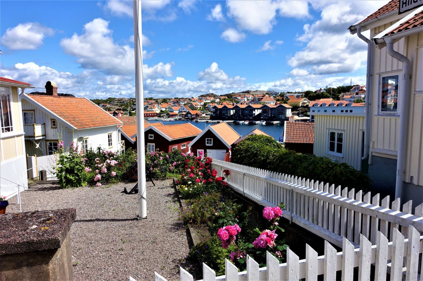 vakre roser i fiskebackskil