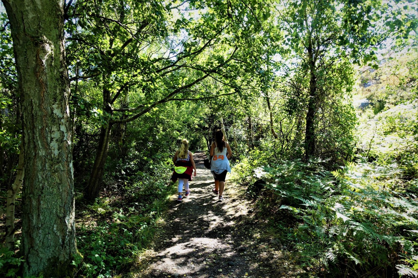 tur igjennom skogen på bohus malmøn