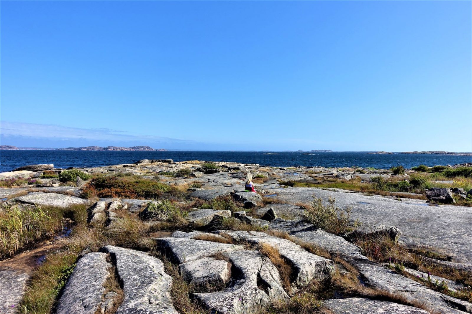 speider ut mot havet på bohus malmøn