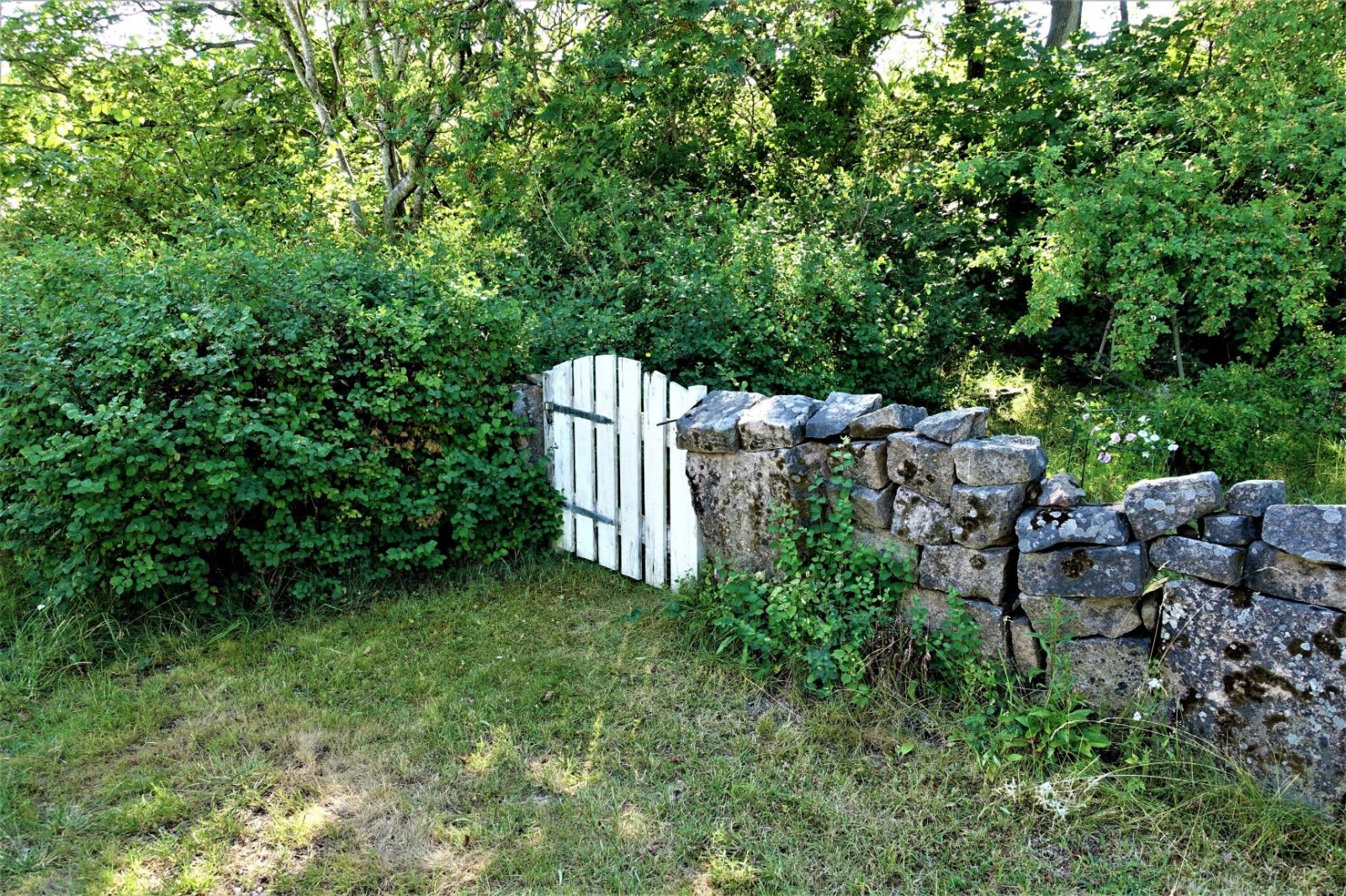 hvit port i steingjerde bohus malmøn