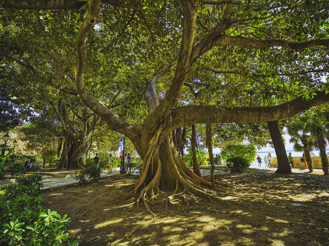 Tre i parken Syracusa Sicily