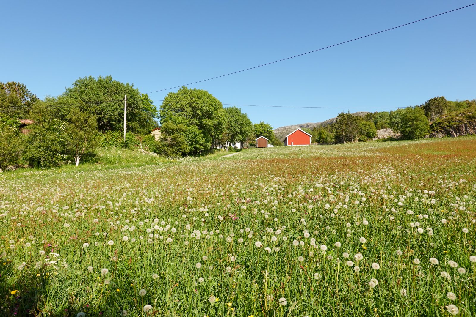 Gårdsbruk Agdenes