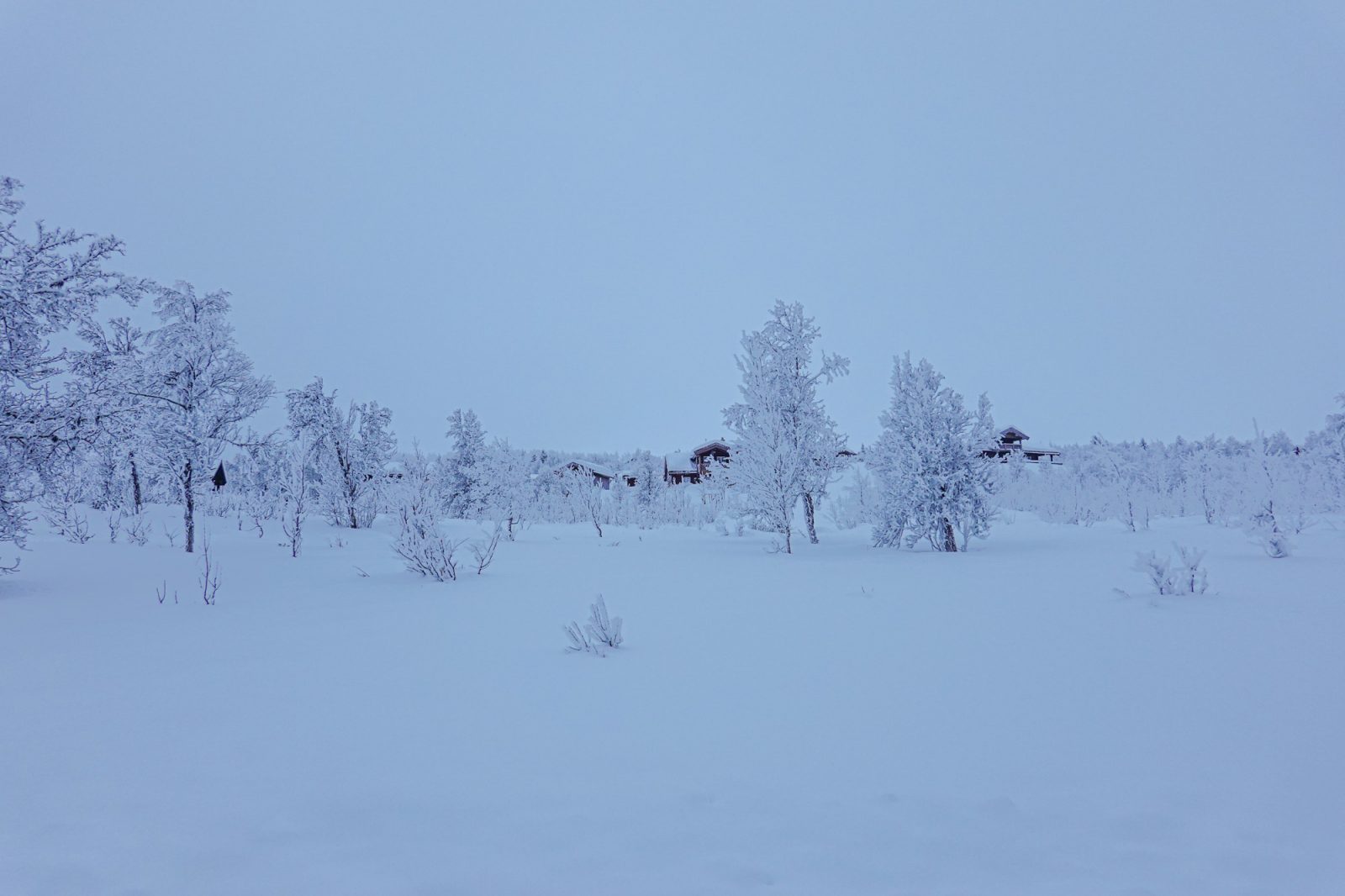 Blåtimen i fjellet.