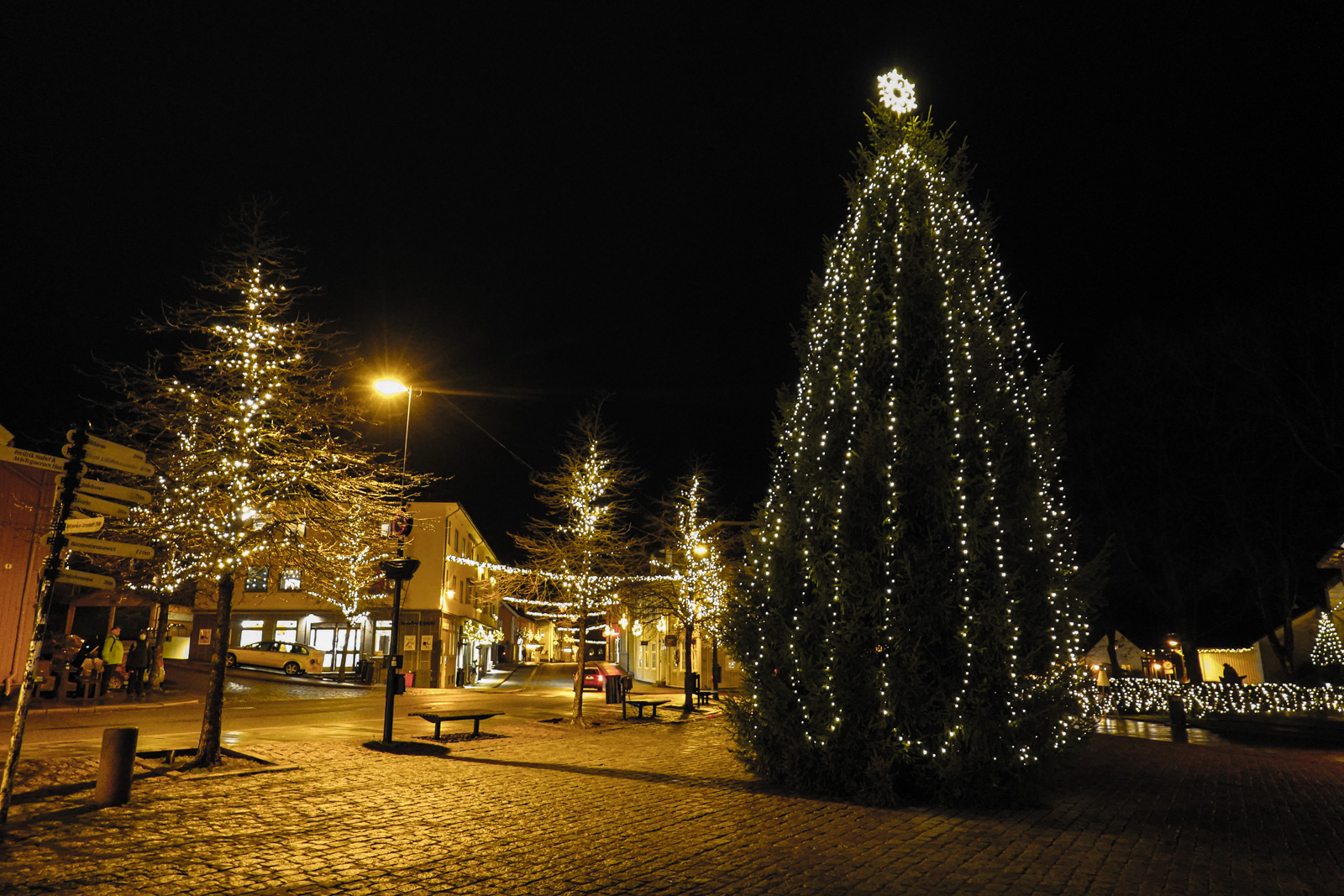 årests julegran er vakkert pyntet på Drøbak torg.